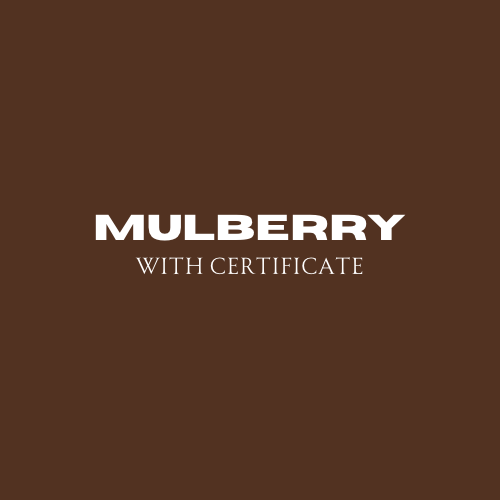 Mulberry Authentication Service with Certificate
